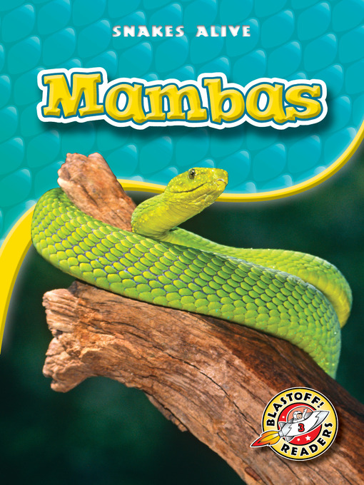 Title details for Mambas by David Christian - Available